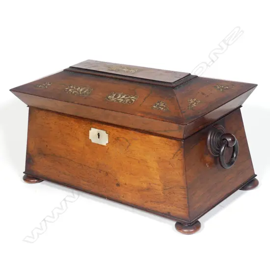 An elegant Regency mahogany sarcophagus tea caddy