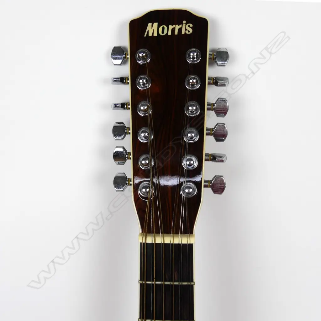 A Morris twelve string acoustic guitar Image 1++