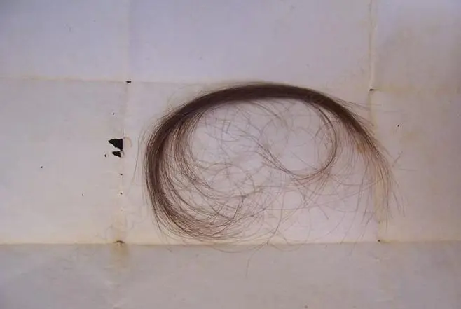 A lock of hair cut off the Emperor Napoleon's head after his death at St. Helena Image 1++