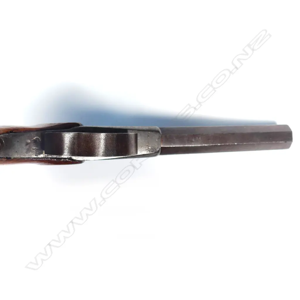 A Continental mid 1800s percussion pocket pistol Image 1++