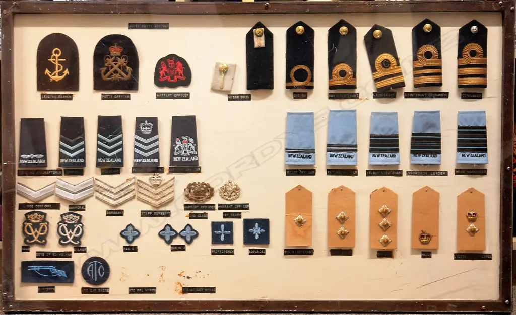 A vintage N.Z. Armed Forces epaulette collection display board Image 1++