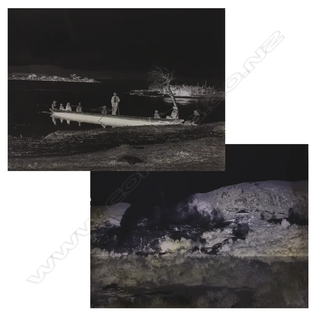 Two half plate glass negatives Image 1++