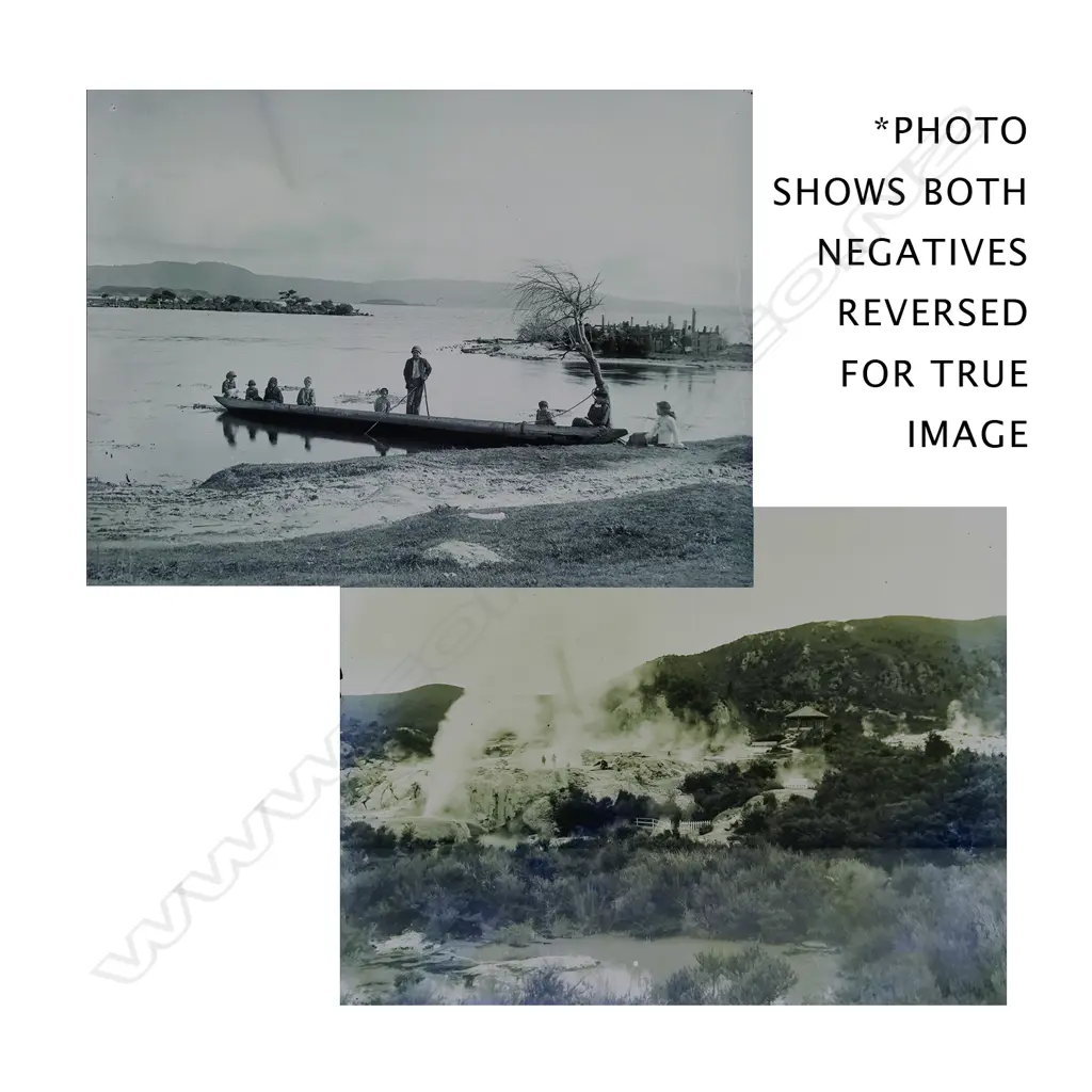 Two half plate glass negatives Image 1++