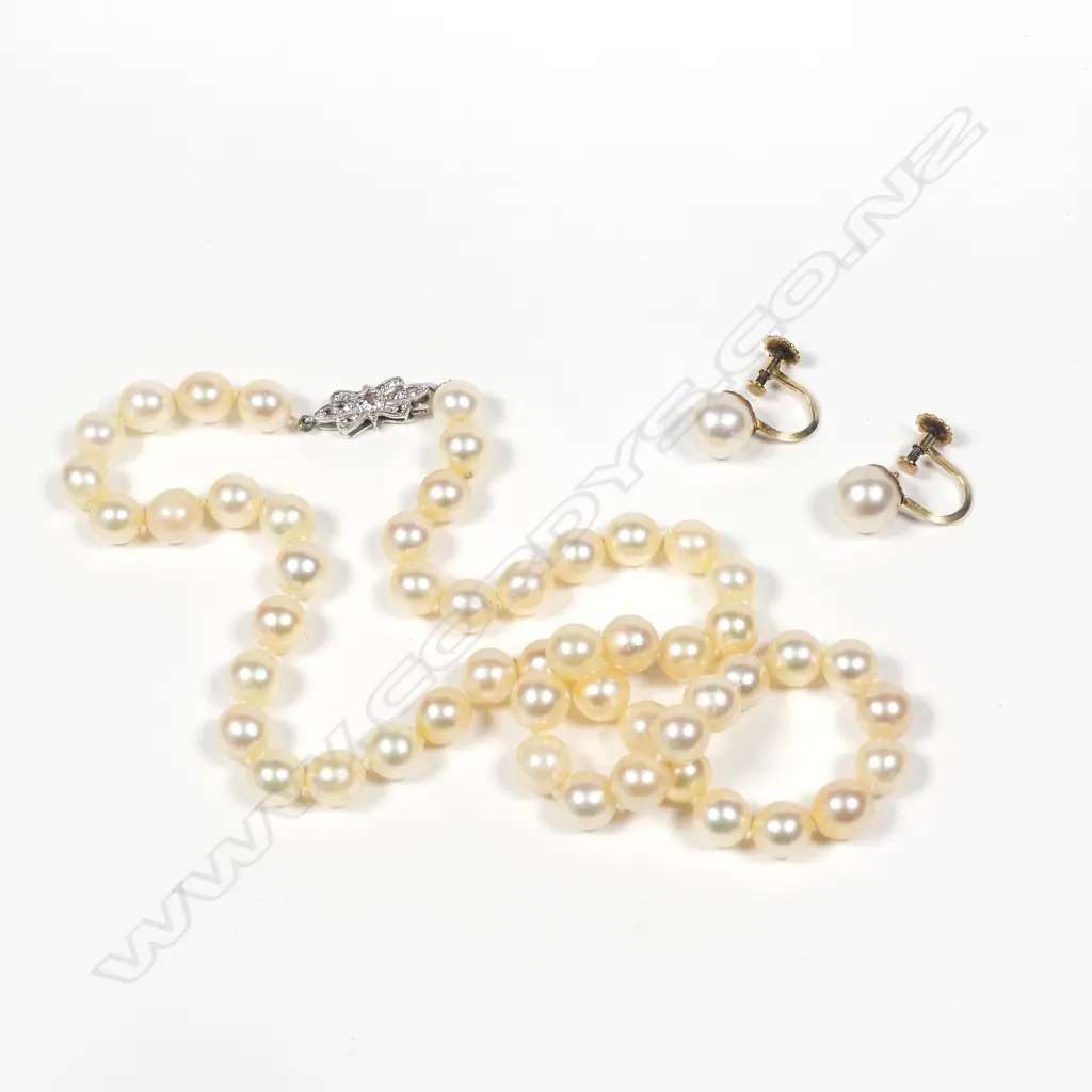 A cultured pearl necklace Image 1++