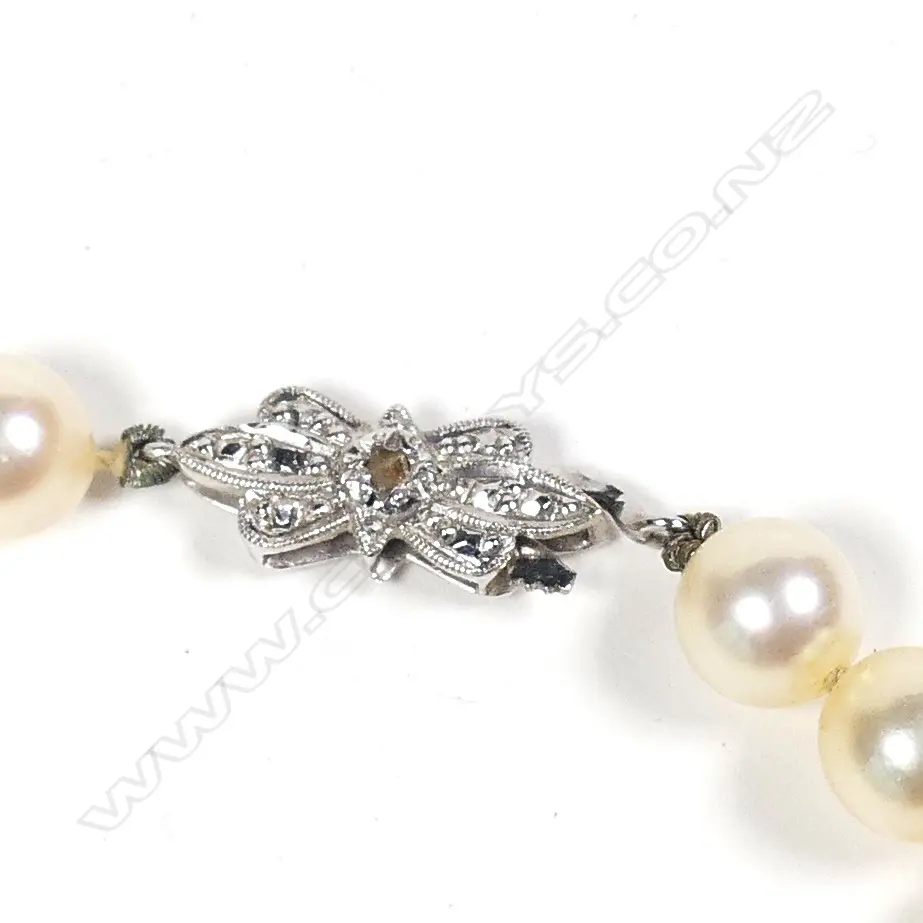 A cultured pearl necklace Image 1++