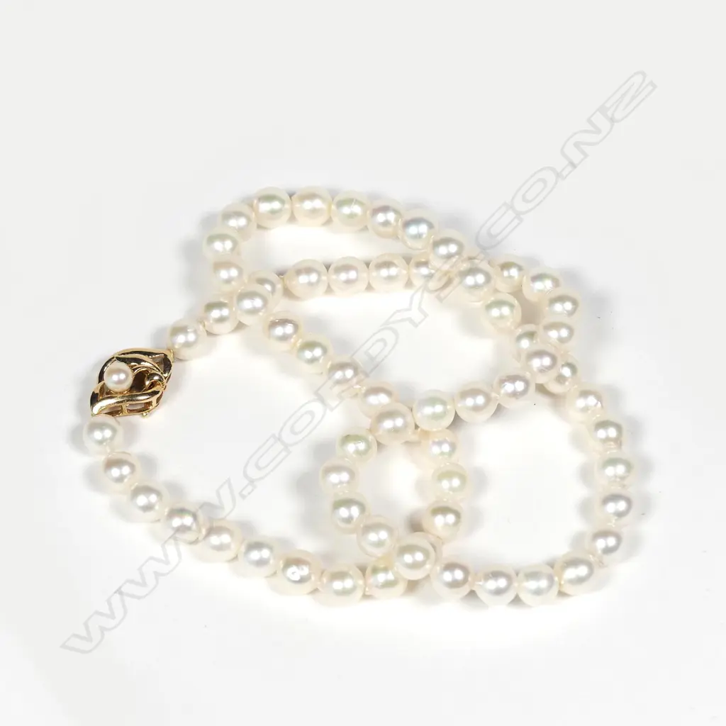 A cultured pearl necklace Image 1++