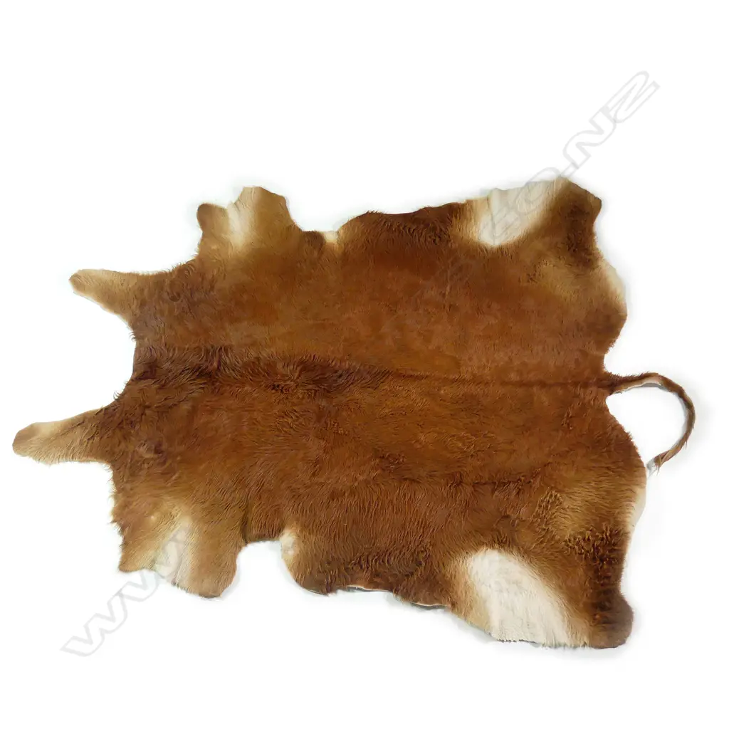 A large Limousin bull hide rug Image 1++