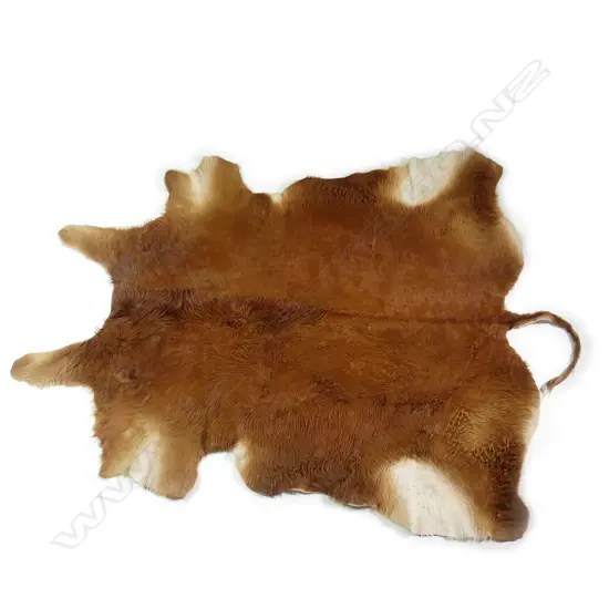 A large Limousin bull hide rug
