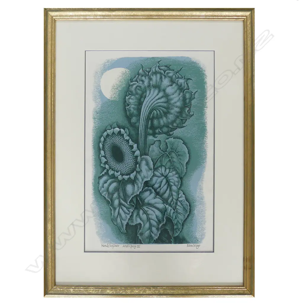 Eileen Mayo Image 1++