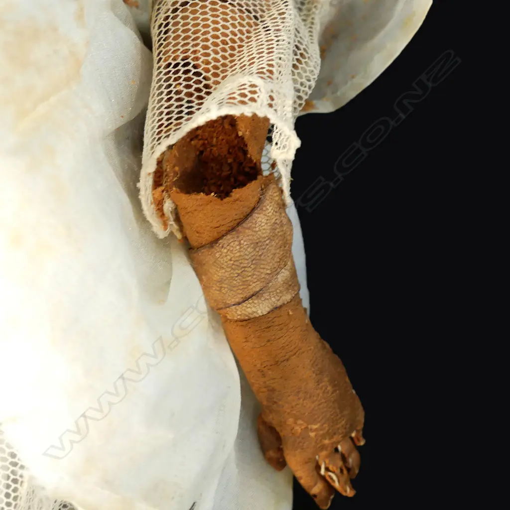 An uncommon 19thC German Autoperipatetikos walking doll Image 1++