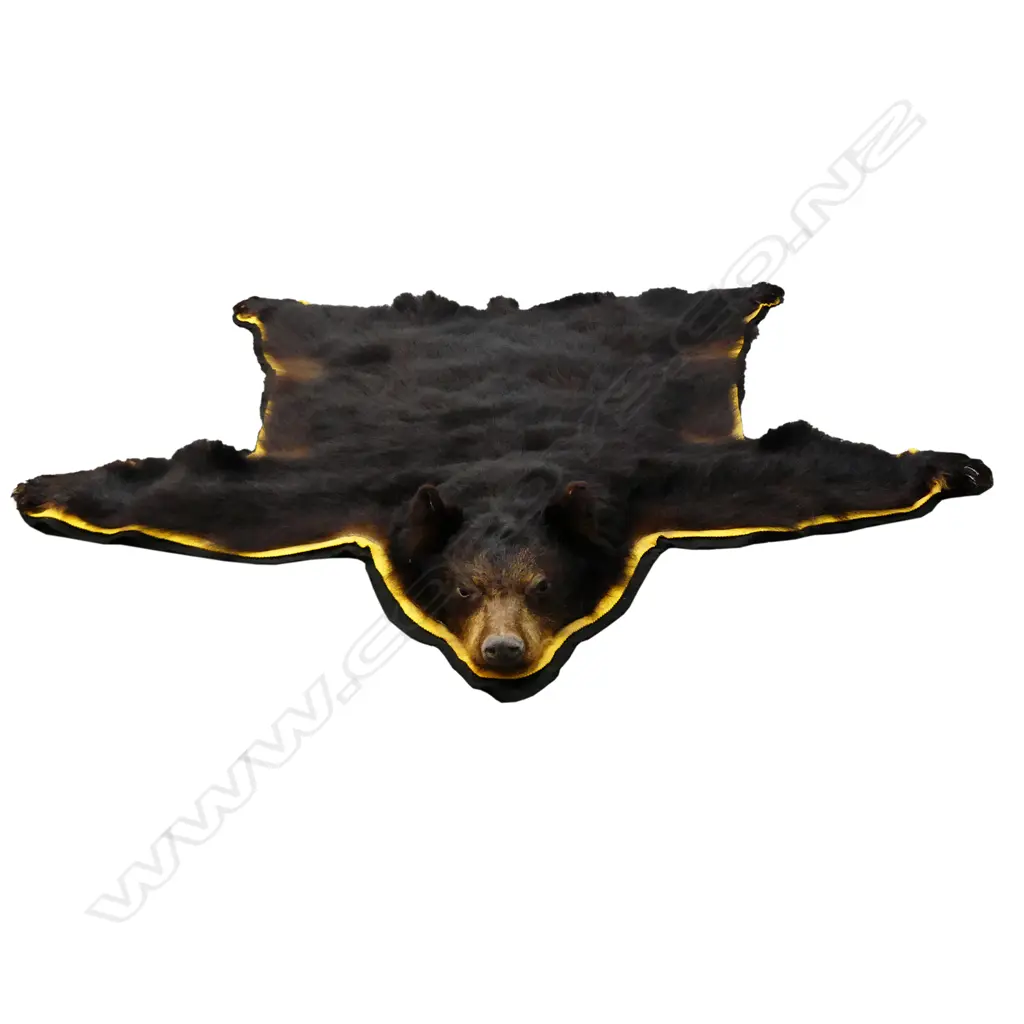 A Canadian bear skin rug Image 1++