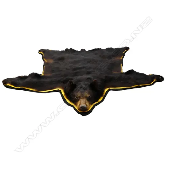 A Canadian bear skin rug