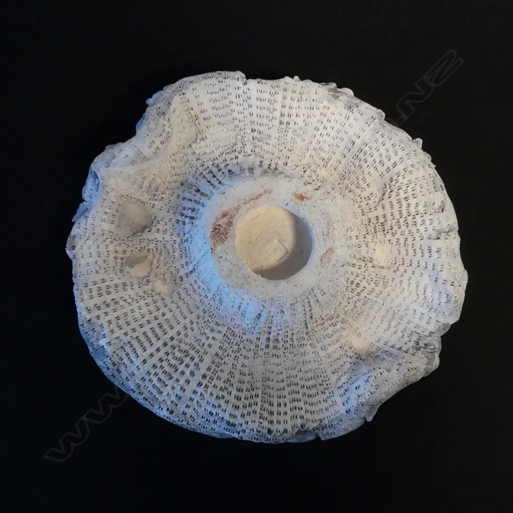 Len Castle 'Sea Secret' Image 1++