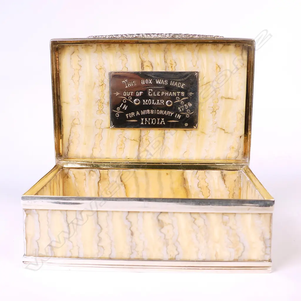 A rare elephant's tooth and silver table snuff box Image 1++