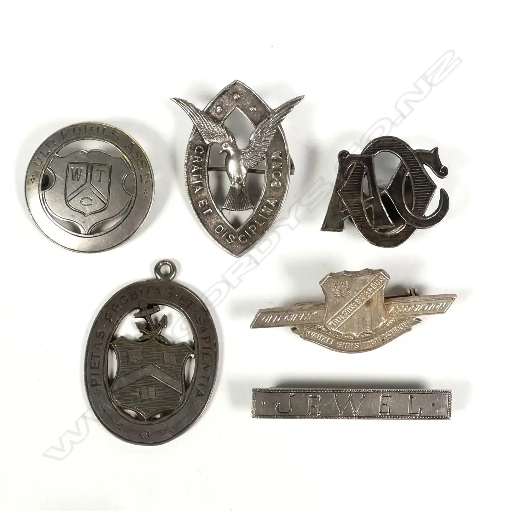 Six various NZ silver school and other badges Image 1++