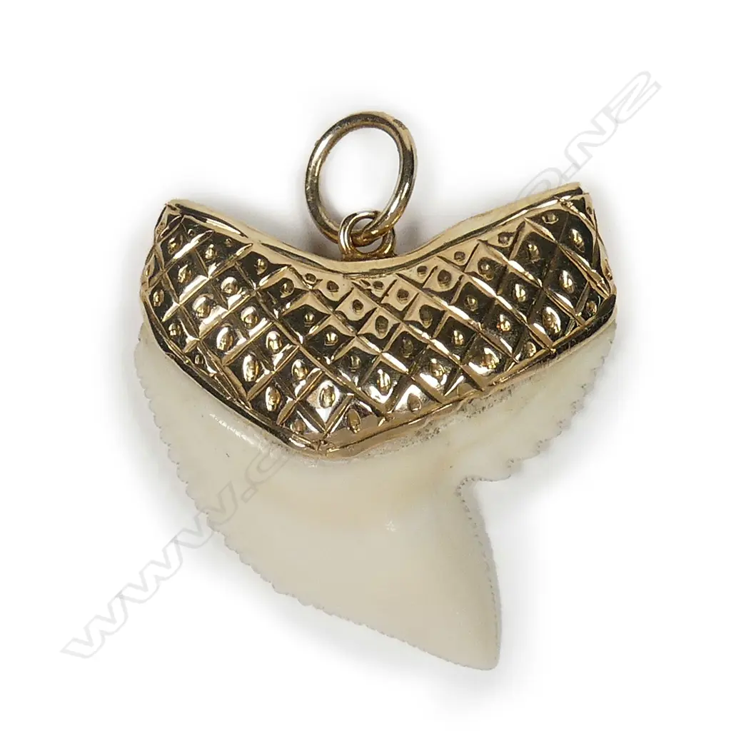 An 18ct gold and shark tooth pendant Image 1++