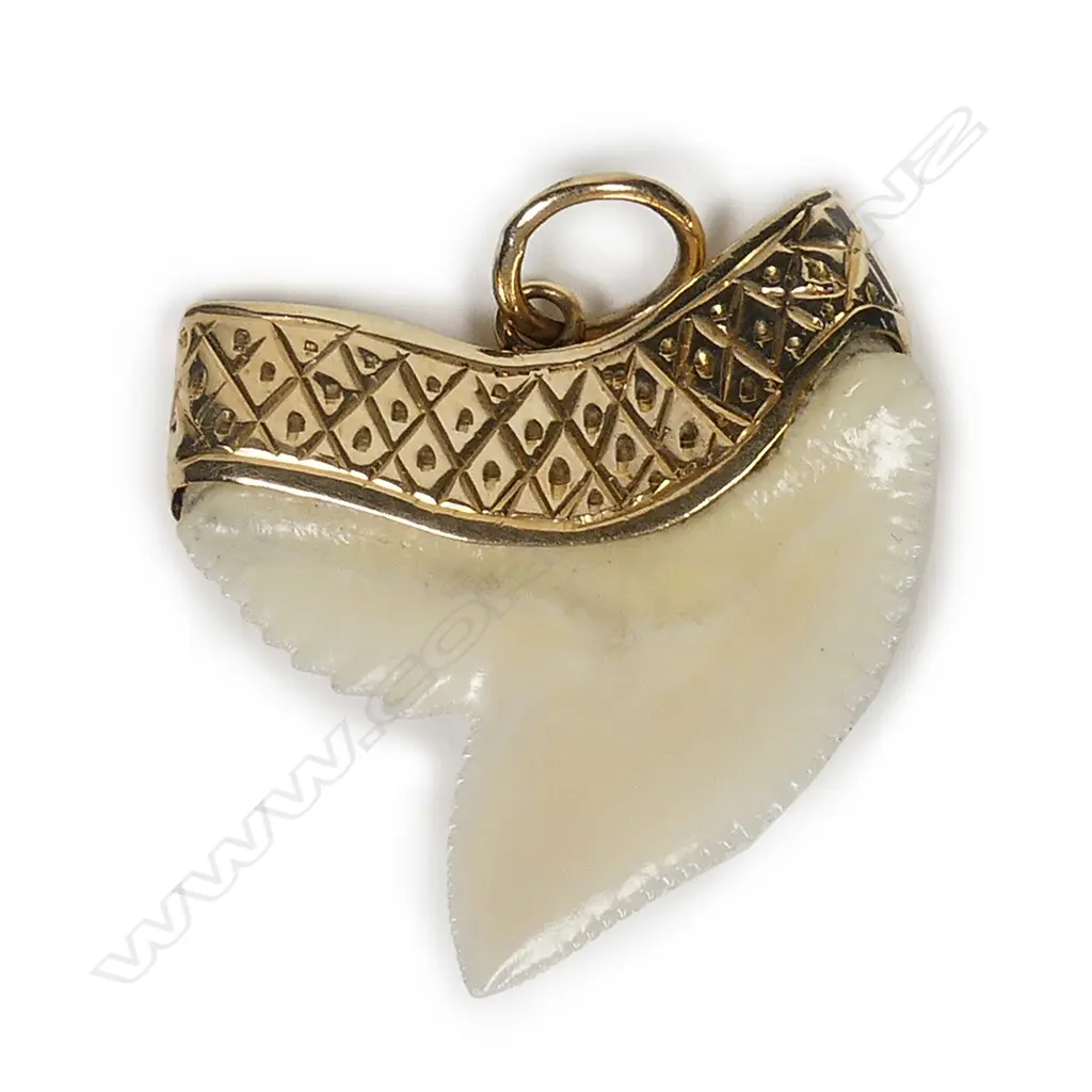 An 18ct gold and shark tooth pendant Image 1++
