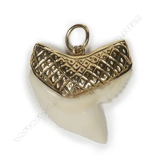 An 18ct gold and shark tooth pendant