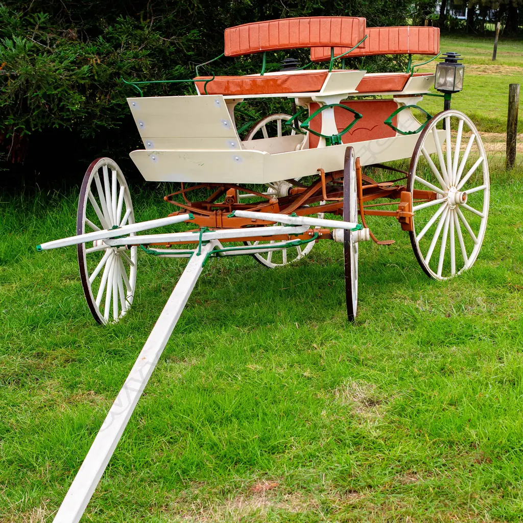 Adelaide Express - open double seat waggonette/buggy, Image 1++