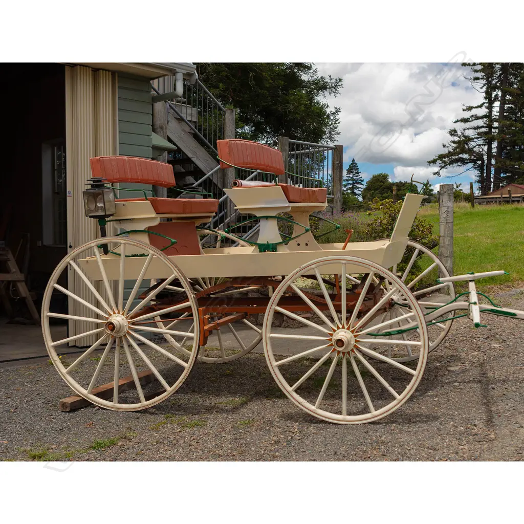 Adelaide Express - open double seat waggonette/buggy, Image 1++