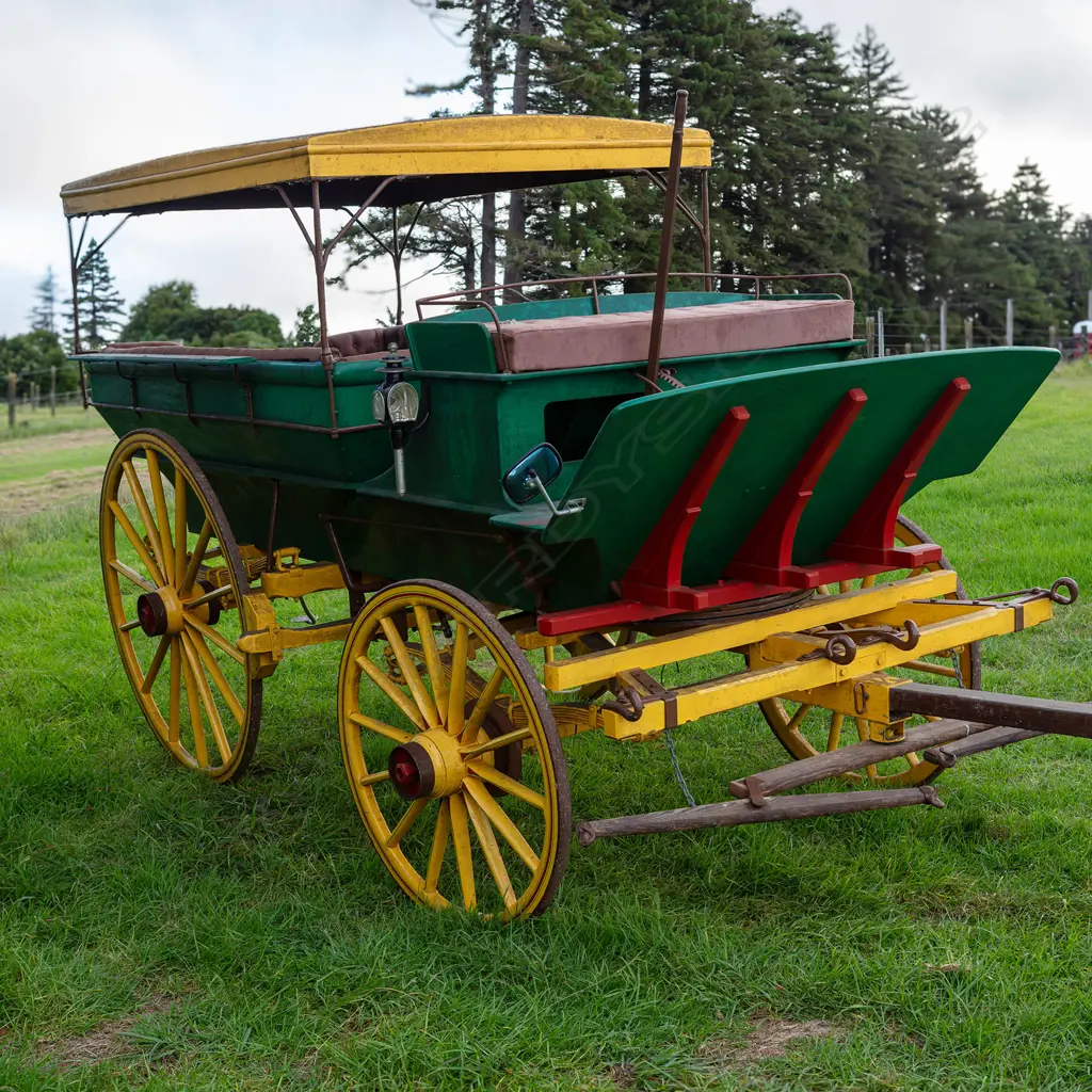 1898 Cobb & Co waggonette , Image 1++