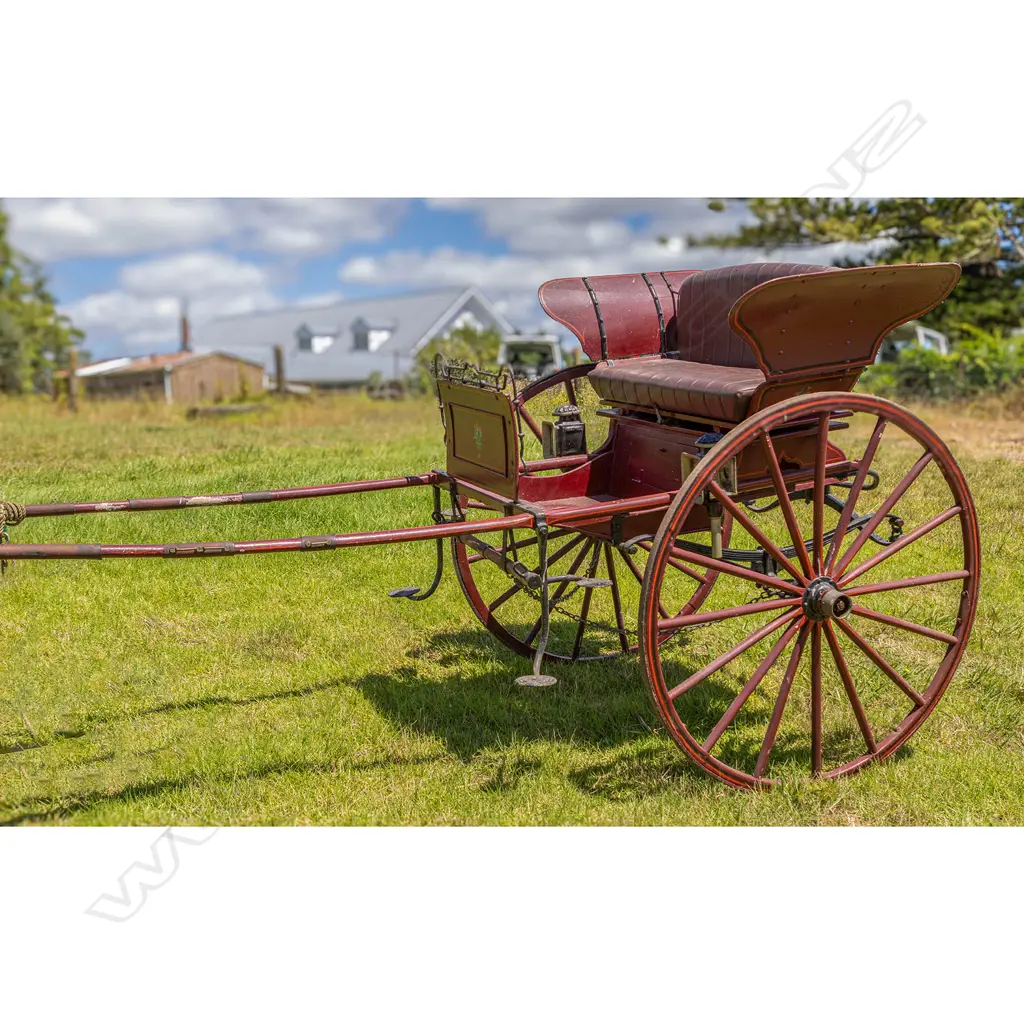 1890 Butterfly gig, Image 1++