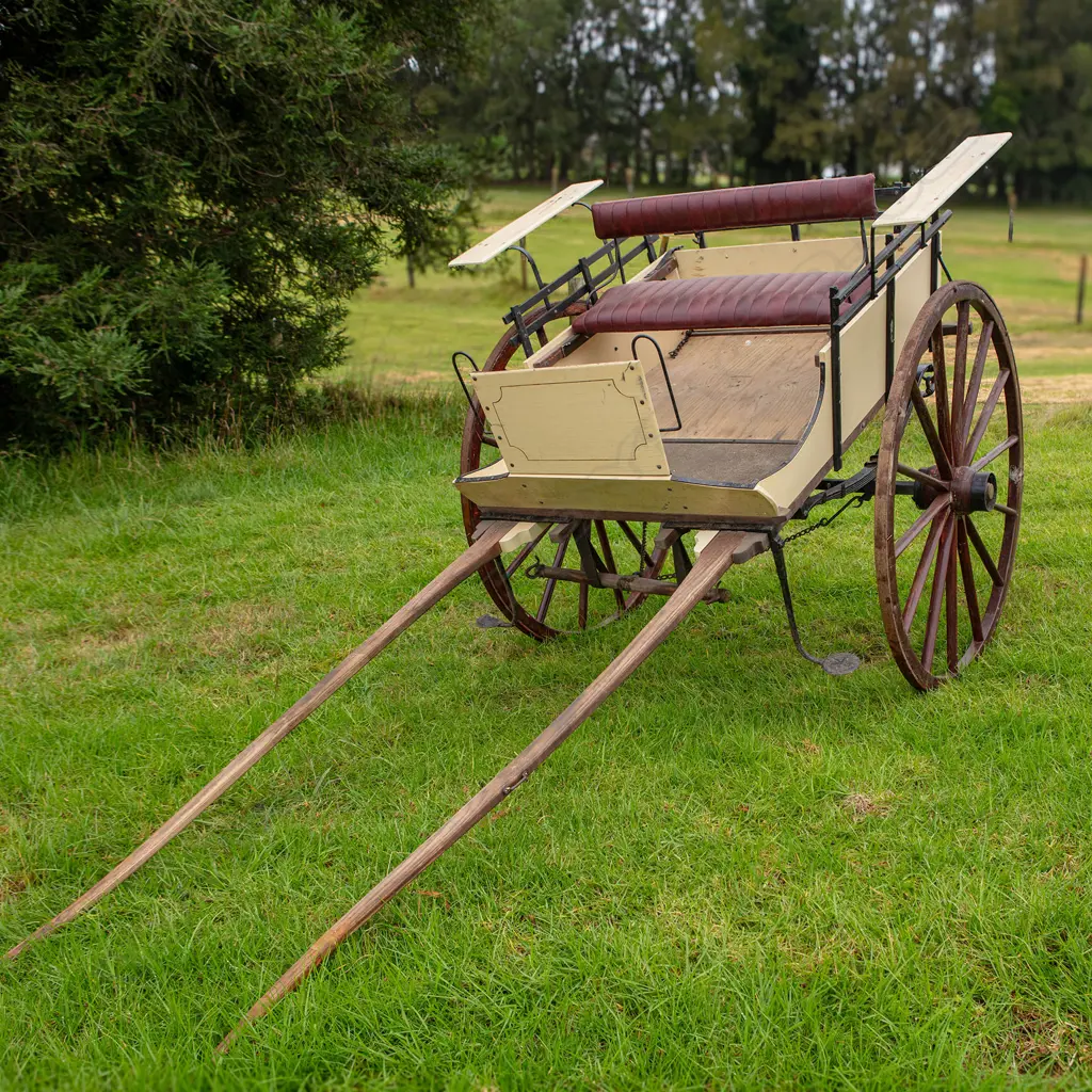 1907 Market cart, Image 1++