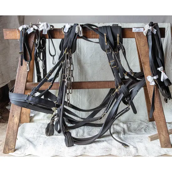 Two pairs leather Amish harness,