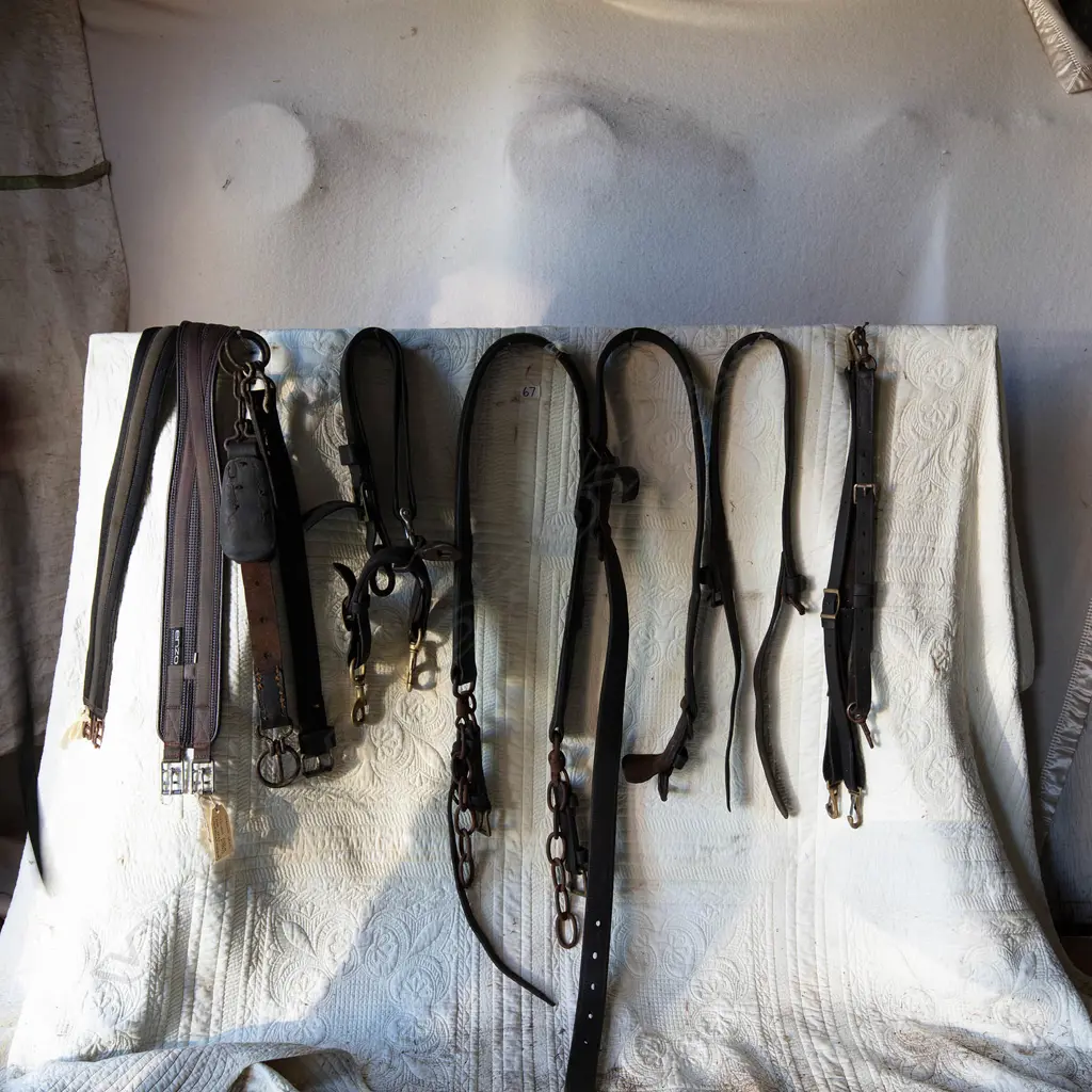 Misc girths, belly bands, Image 1++