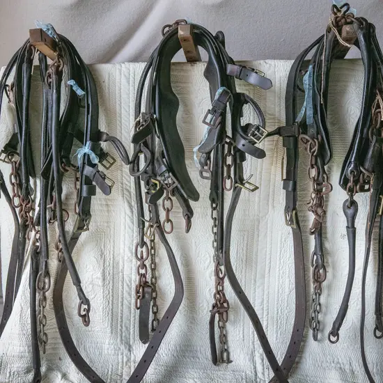 Three Quick release traces,