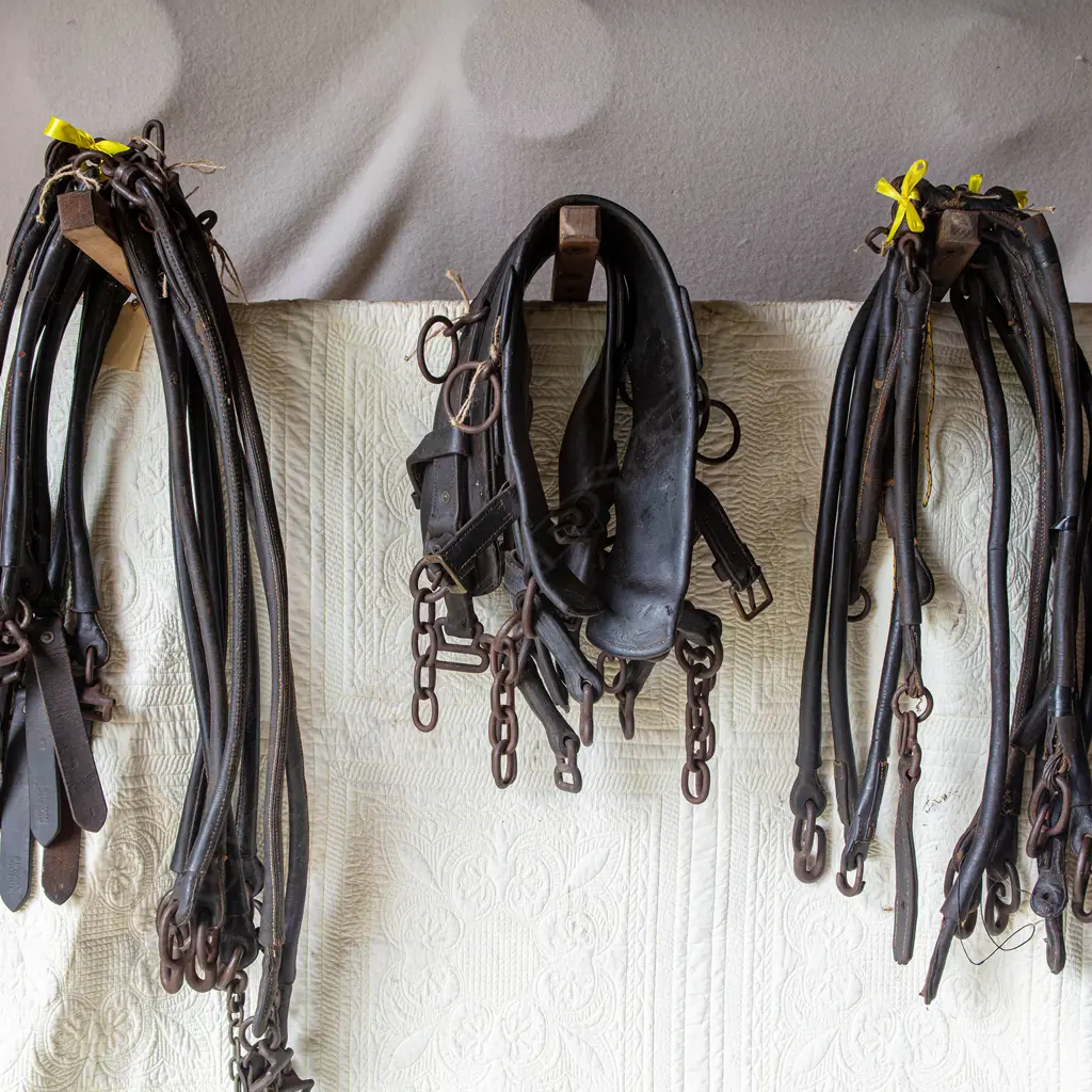 Seven Quick release traces, Image 1++