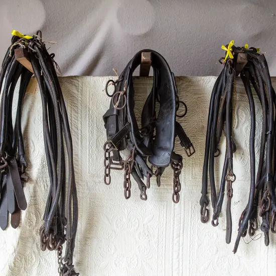 Seven Quick release traces,