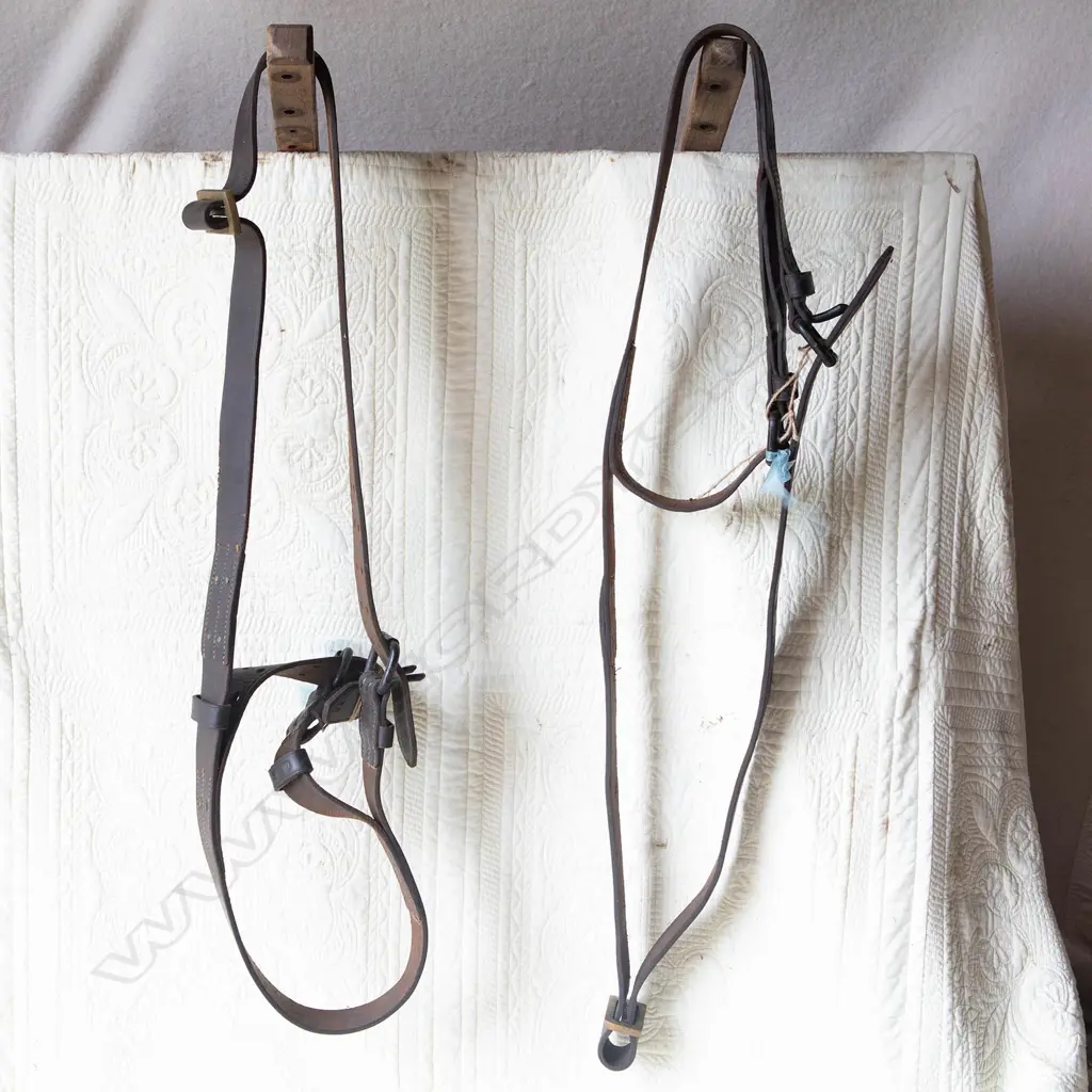 Leather double straps, Image 1++