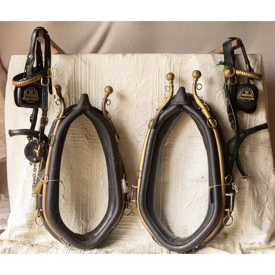 Pair complete set of DB Brewery Harness,