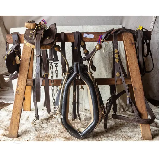 Brown leather working harness,