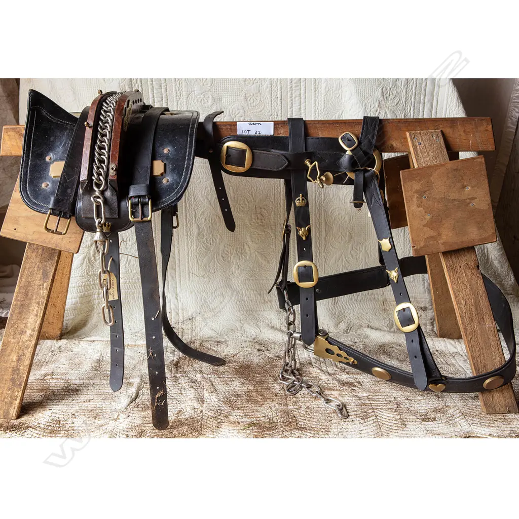 Charles and Diana 'God save the King!' wedding harness, Image 1++