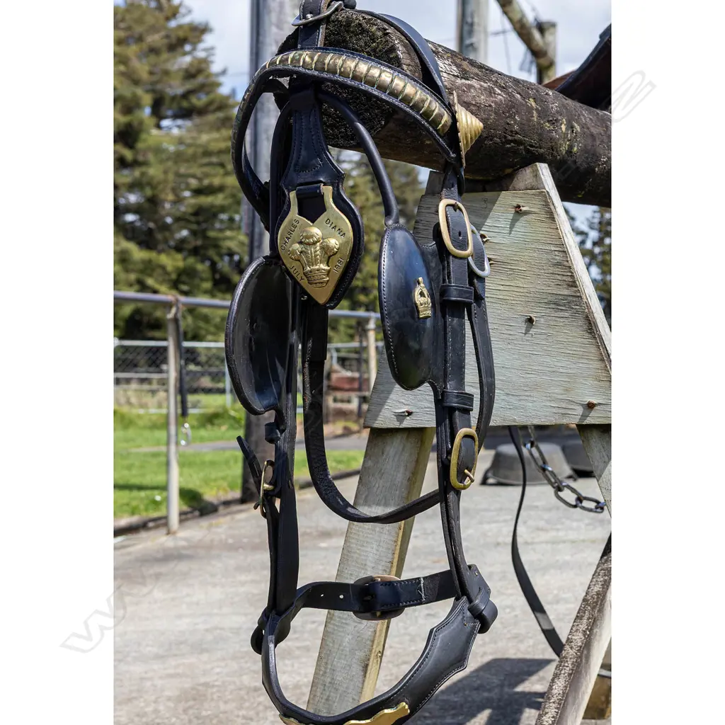 Charles and Diana 'God save the King!' wedding harness, Image 1++