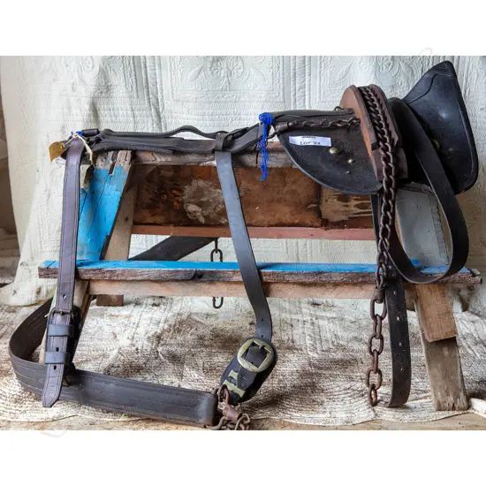 Working dray harness,