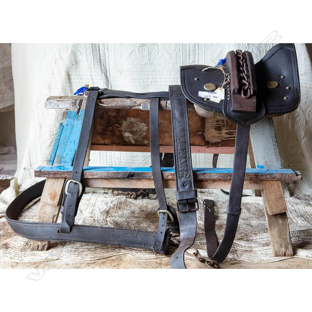 Working dray harness, Image 1++