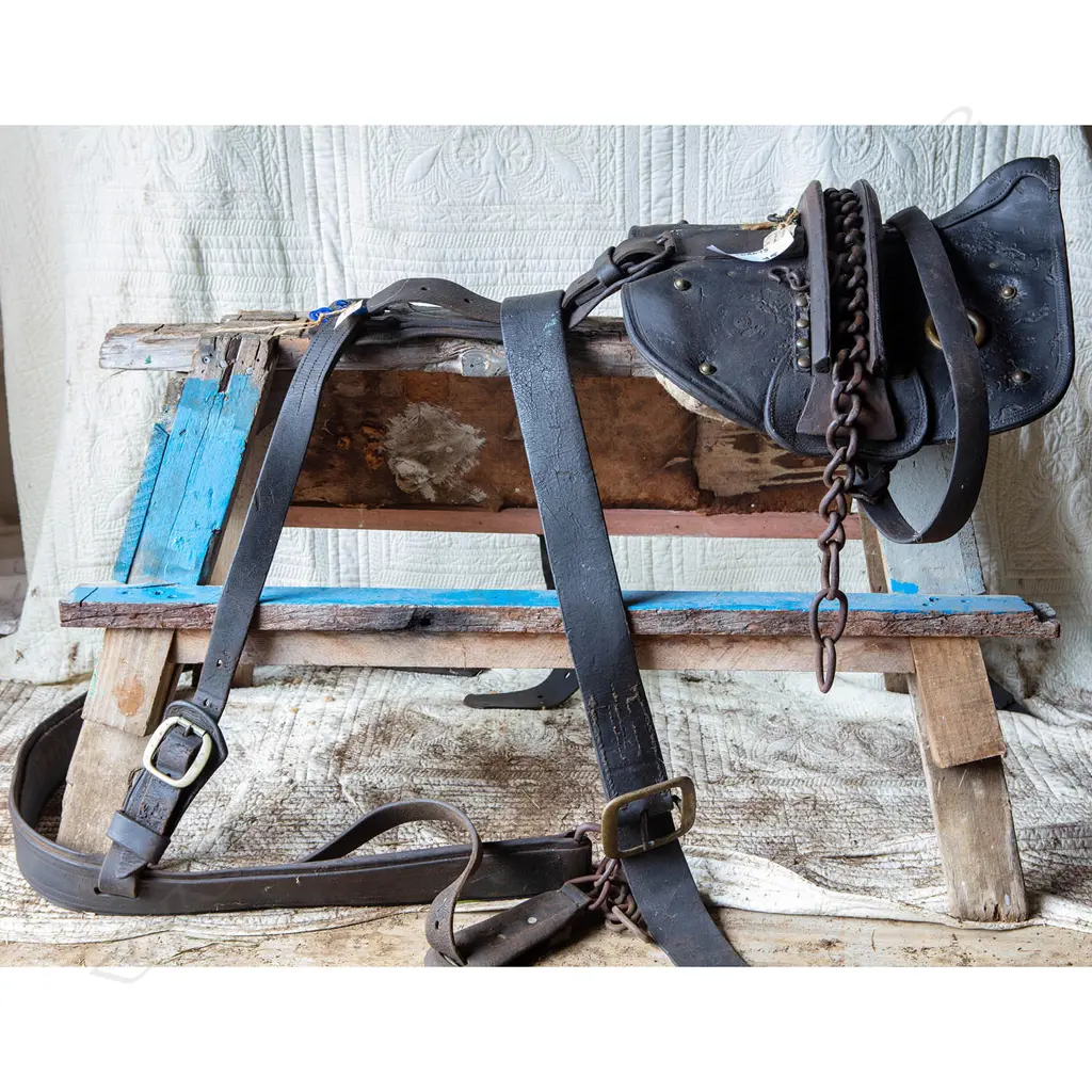 Working dray harness, Image 1++
