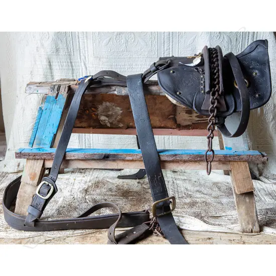 Working dray harness,