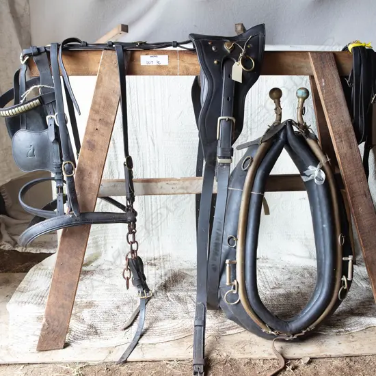 Single leather cart harness,