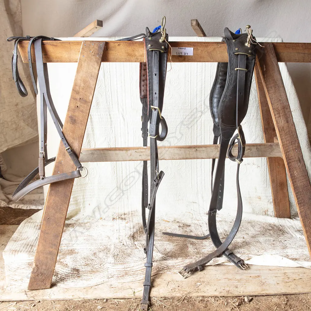 Two light harness, Image 1++