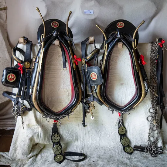 Two full pair sets original Lion Brewery harness for two horses,