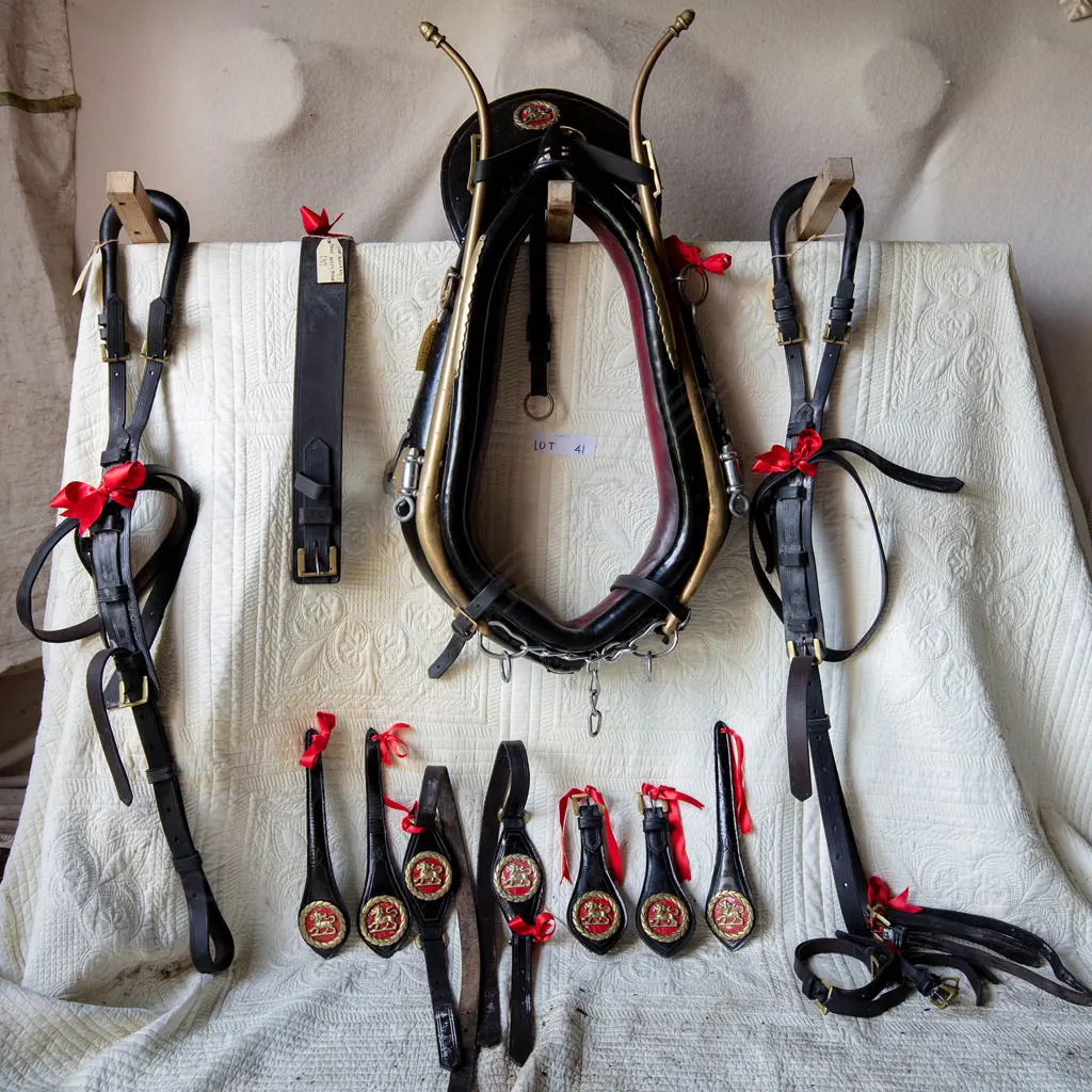 Lion Brewery spare harness, Image 1++