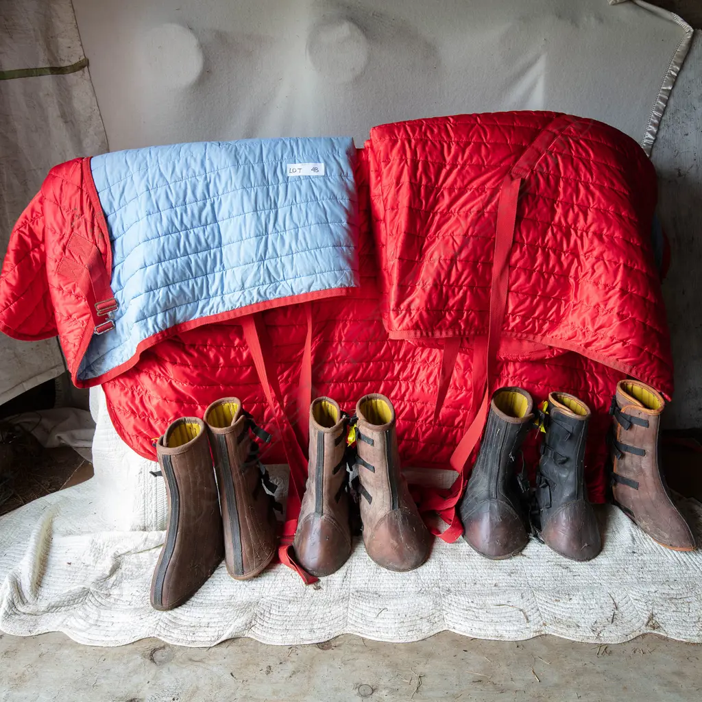 Four quilted show rugs and belly straps + seven travel boots. Image 1++
