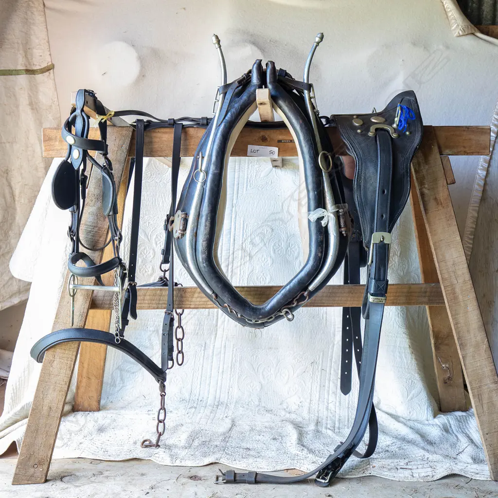 Single set leather cart harness, Image 1++
