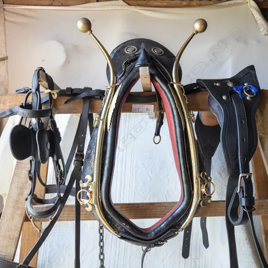 Single set leather cart harness,