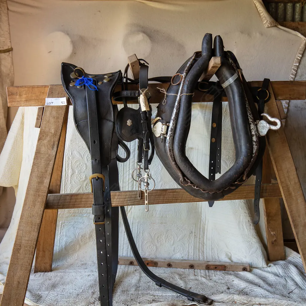 Single set leather for cart, Image 1++