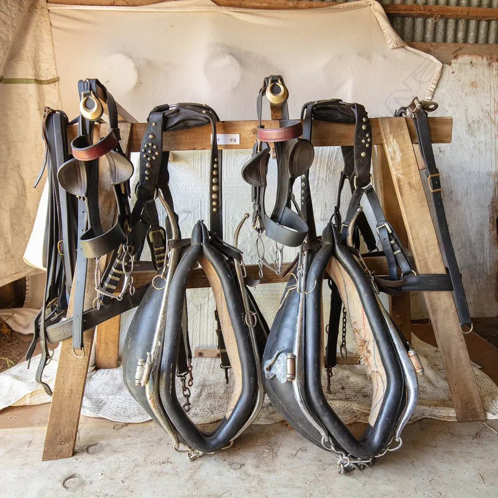 Pair plough harness, Image 1++